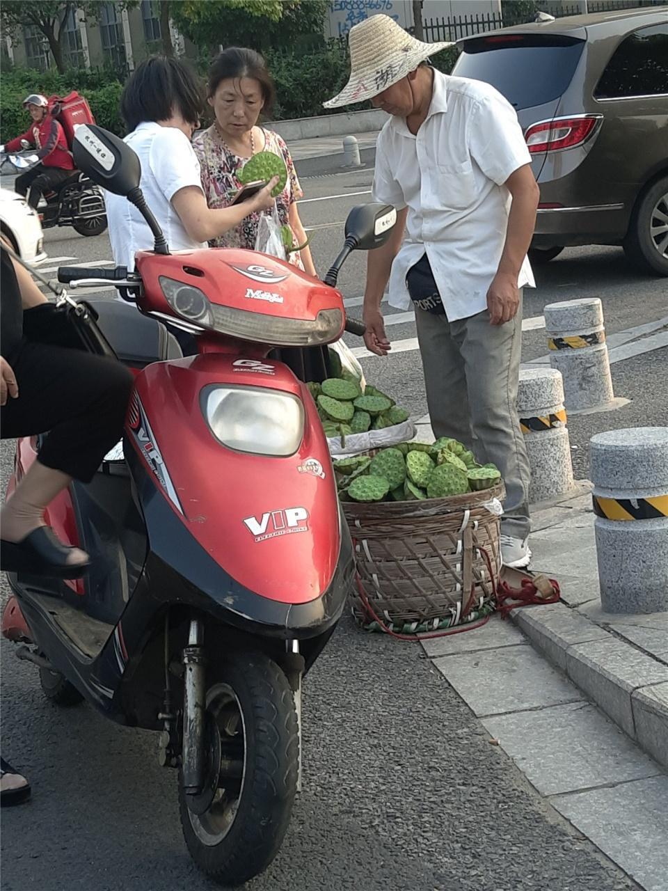 农村创业项目,乡镇上现在做什么生意赚钱,乡镇