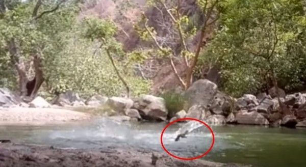 吓人!印3名游泳运动员溪边戏水玩自拍,下秒拍