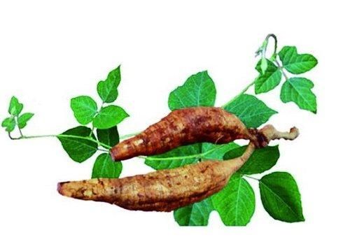 这个亚洲人参止渴止泻,很多人想吃不知道如何