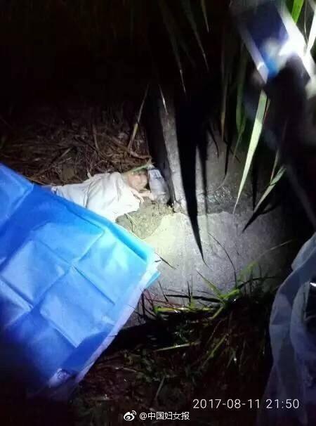 刚出生女婴被扔草丛浑身带血 母亲是12岁留守儿童 刚出生女婴被扔草丛浑身带血 母亲是12岁留守儿童