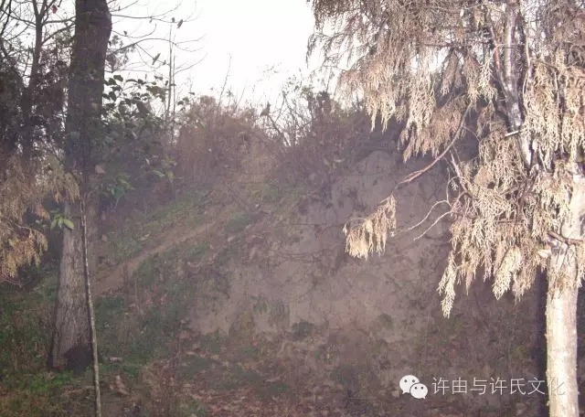 许氏起源---许由与许氏文化研究的最新成果