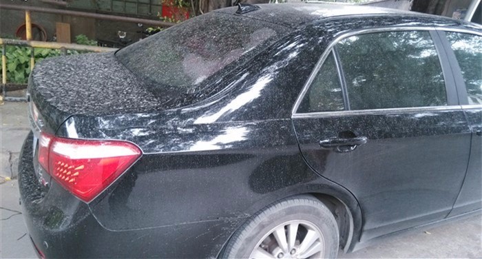 买车到底选什么颜色好?最耐脏的竟然是它!