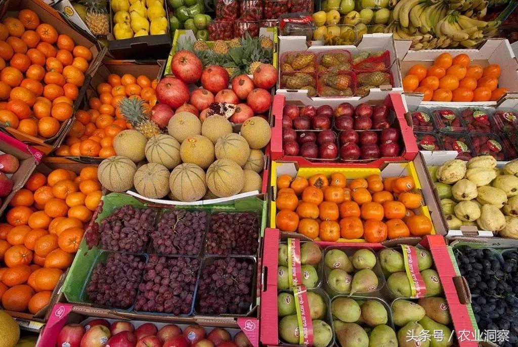 未来5年大豆玉米生猪蔬菜水果,产量和消费大预