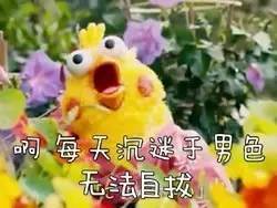三生三世乡村爱情的Freestyle√
