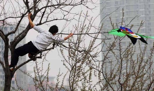 河南周边最炫酷的景区:机器人放风筝,真人跳一跳,假期约起来!