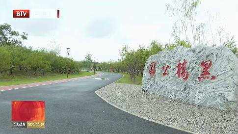 北京市一体化推进“疏整促” 群众满意度“节节高” 北京市一体化推进“疏整促” 群众满意度“节节高”