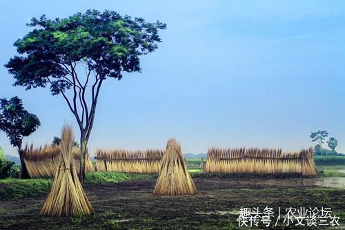 政府同意用招拍挂方式出让土地,要如何缴纳契