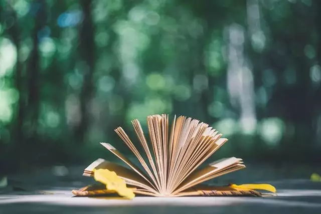 【汽车人◆葳漪专栏】在审美扭曲的时代,做一