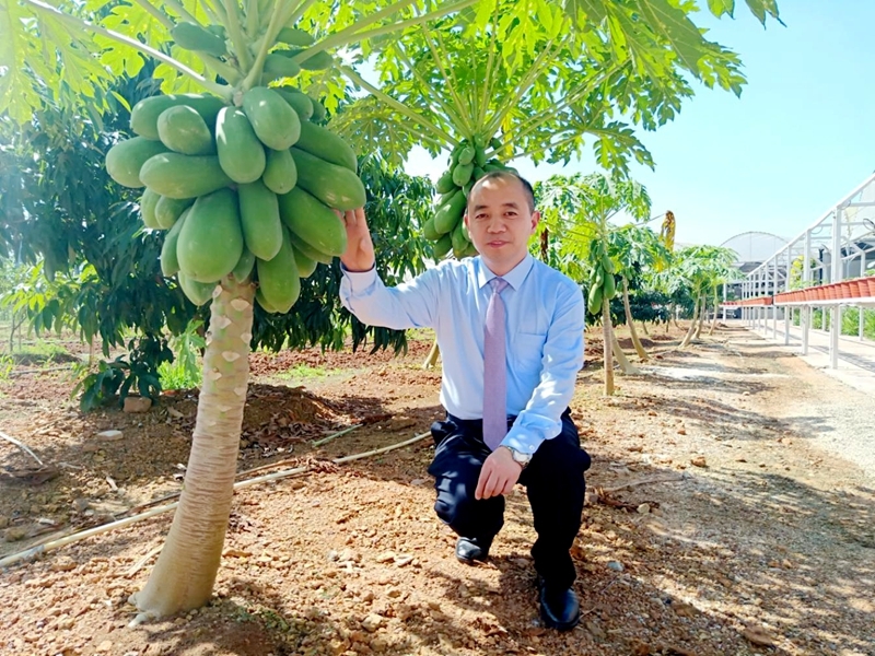 (毛宏伟副院长考察mbi蝶莎豪庭园区)