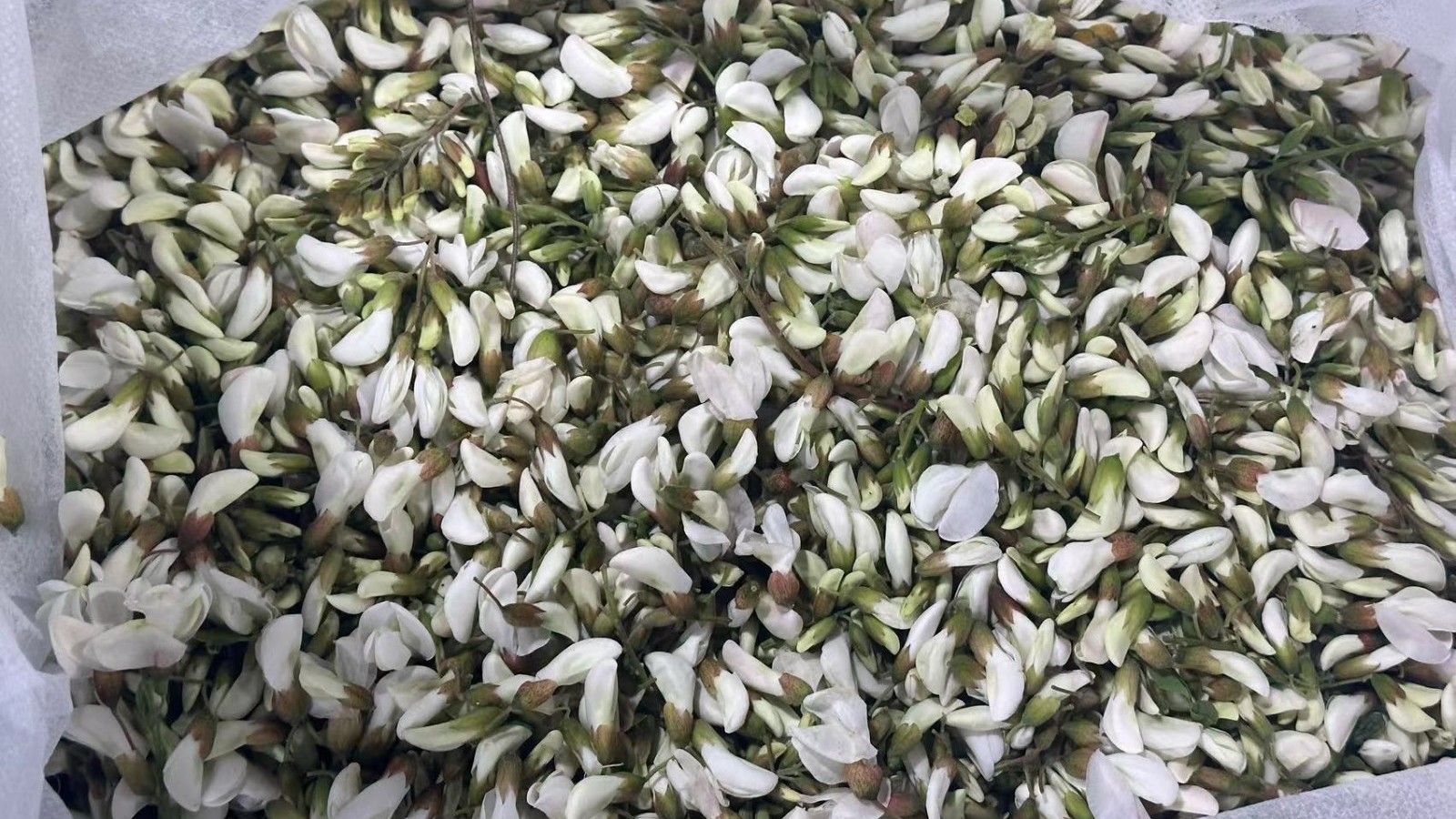 上新菜啦!你认识几种菜?这些菜都怎么吃? 上新菜啦!你认识几种菜?这些菜都怎么吃?