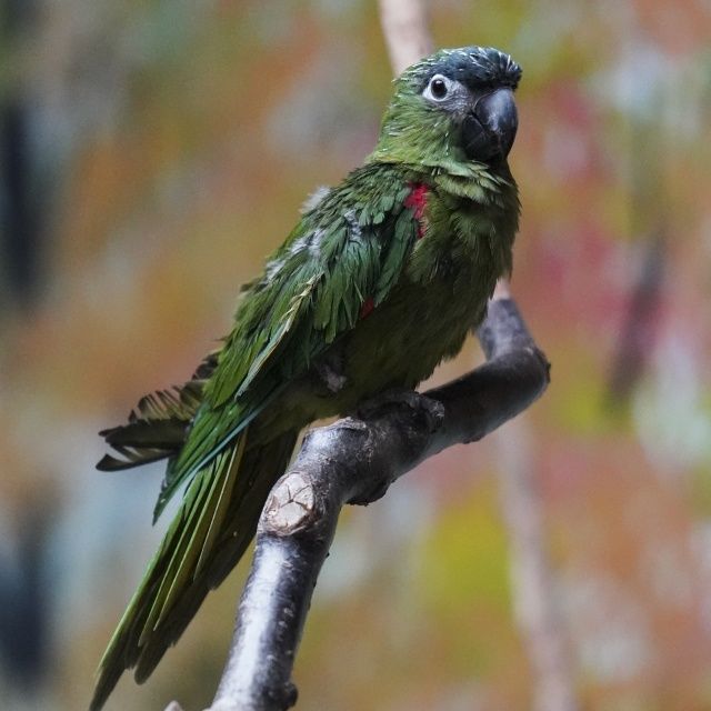 画质与性能并肩前行,索尼 A7R3 试用报告