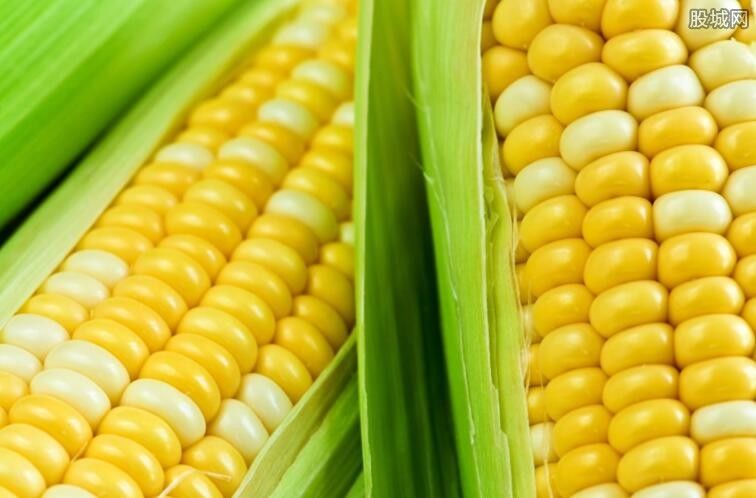 玉米价格行情预测 2018年6月玉米价格或上升
