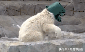 爆笑gif动图:姑娘也太不地道了,你不是说要给我吃吗?