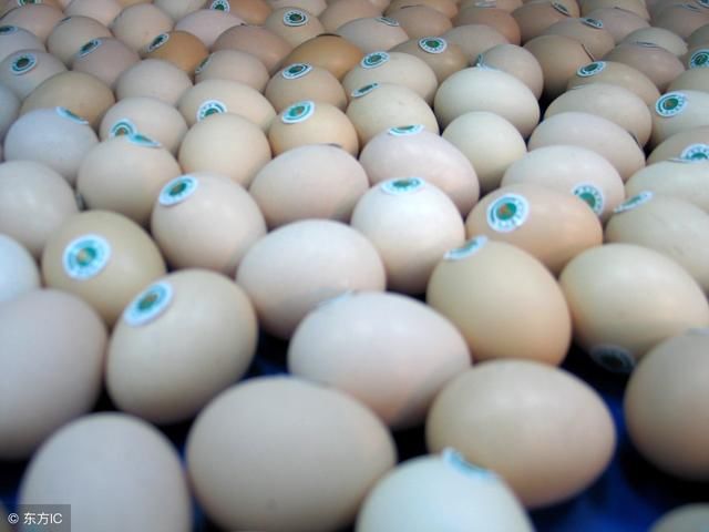 怎么判断鸡蛋坏没坏 超市这种鸡蛋再便宜也不