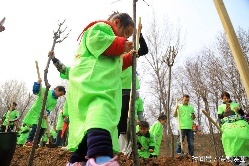 三秦优品 泾渭上河苑 一千多双手种下五百多株