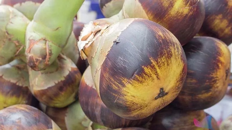 海关查获世界上 海关查获世界上