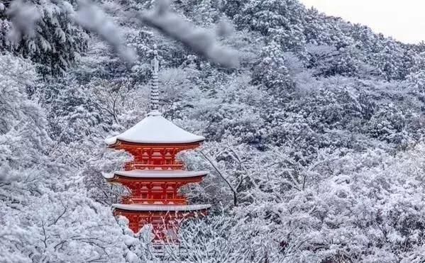 日本留学的五件事告诉你日本人究竟有多可怕?