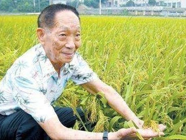 中国在世的两个科学家谁伟大?这两个人同时上