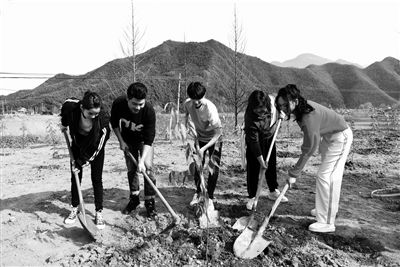 王牌家族获封公益大使 王源贾玲欧阳娜娜浙江