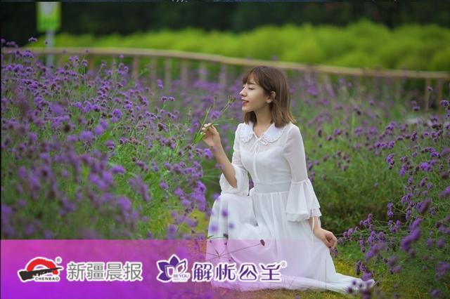 清新脱俗,还是学霸!新疆大学的最美校花来啦! 清新脱俗,还是学霸!新疆大学的最美校花来啦!