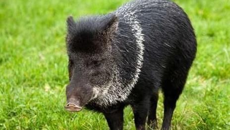 小县城做什么生意最赚钱,2017热门的赚钱的小