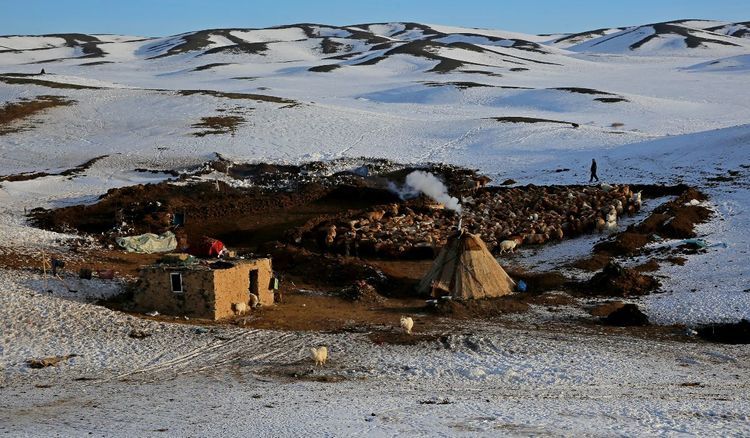 和霍正家里,体验户外零下近三十度的冬窝子生活并记录了牧民生活场景