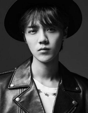 扒一扒傻狍子鹿晗的经典语录