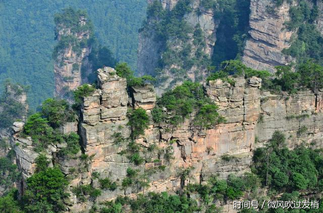 天津坐飞机到张家界,包导游(线路攻略)