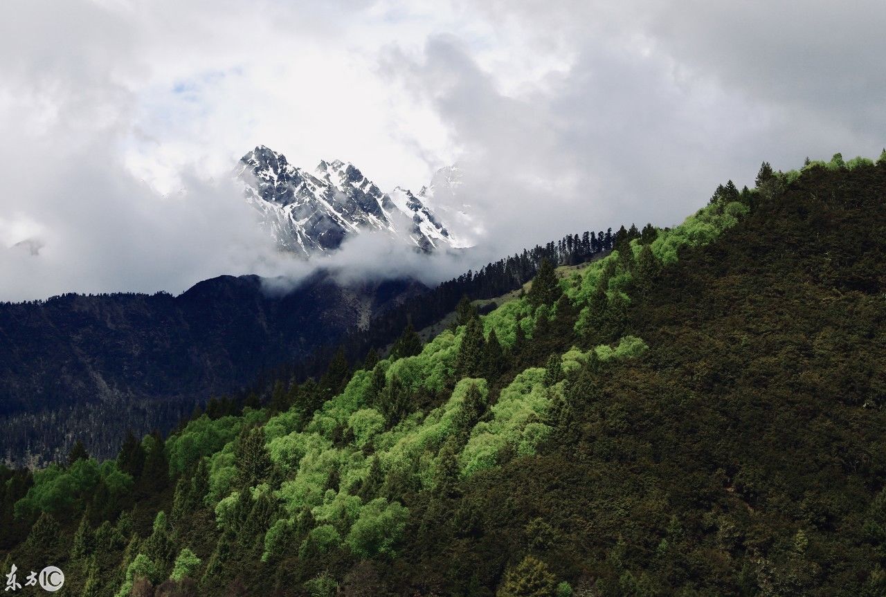 背着氧气瓶半个月,挑战高原反应,只为东方小瑞
