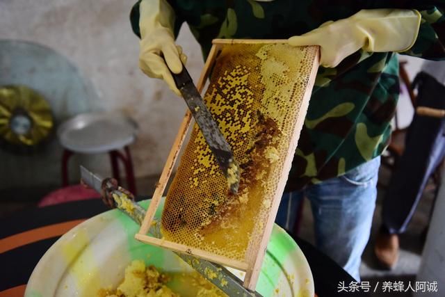 什么是封盖成熟蜜?