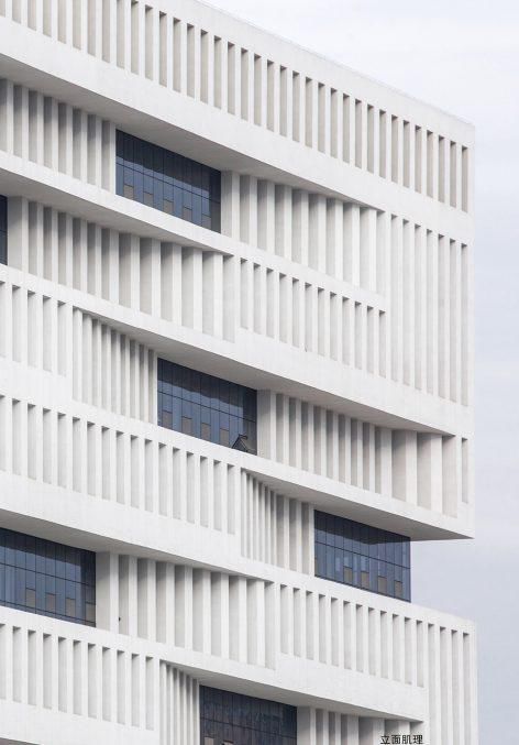 武汉理工大学南湖校区图书馆,楚风汉韵的现代