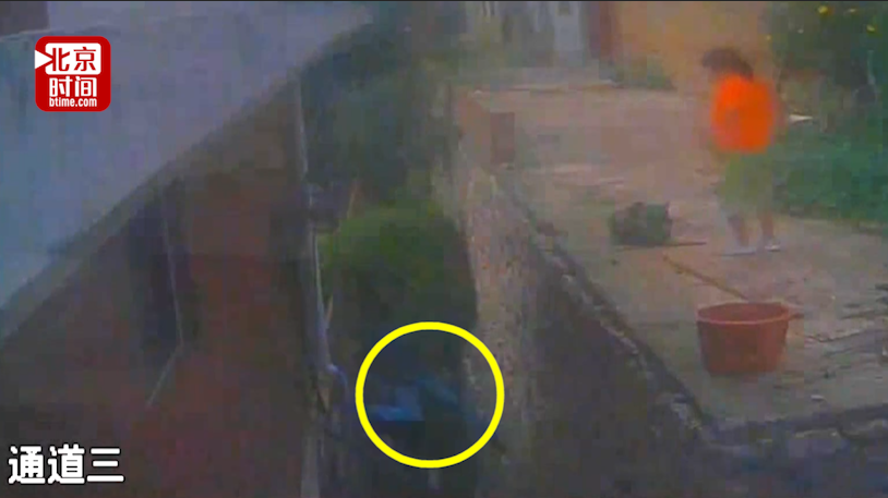 双重惩罚!小偷盗窃逃跑时从高墙跌下双腿粉碎性骨折 随后被警方刑拘 双重惩罚!小偷盗窃逃跑时从高墙跌下双腿粉碎性骨折 随后被警方刑拘