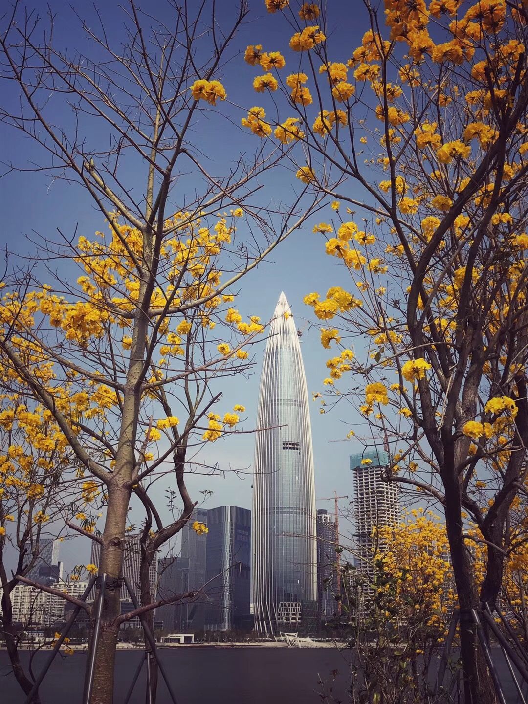 2018 深圳好青年 推选活动启动-北京时间