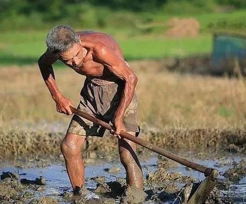 云南15个县拟退出贫困县序列,2018年脱贫攻坚