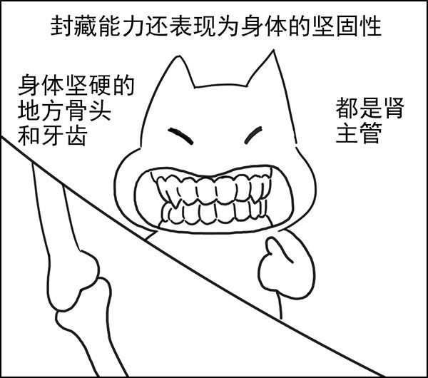 如何判断肾虚?早泄?请做这两个小测试