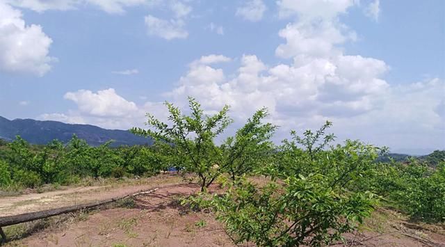 人生就是一曲别离(现代诗)