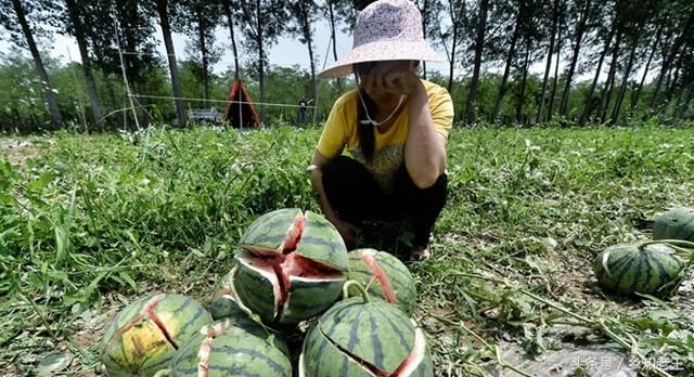 不怕黑云长,就怕云磨响,冰雹的前兆你知道吗?