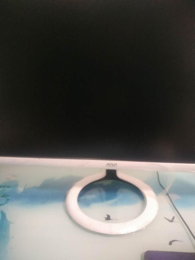 电脑开机电源灯明明亮了,却没有显示,可以试一