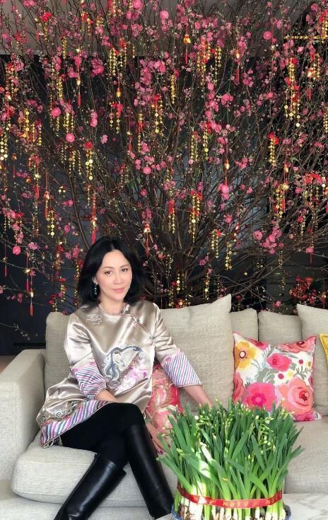 明星奢华豪宅 普通人不能买到 刘嘉玲王祖蓝住