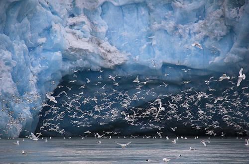 段祺瑞果断拿下欧洲一块地,现石油储量超400亿