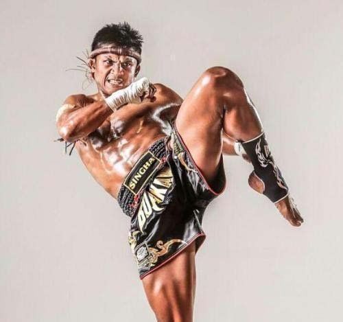 泰拳王子播求对打散打运动员方便,结果让人大