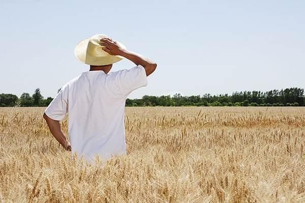 在外打工,在单位交五险一金,还要在老家交新型