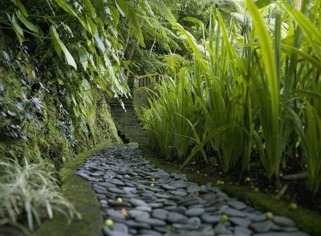 心理学:假如有老虎追,哪堆草丛最安全?测你潜意识中隐藏的性格