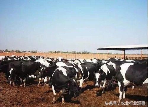 三农日报|县域农产品电商如何做?针对农村电商