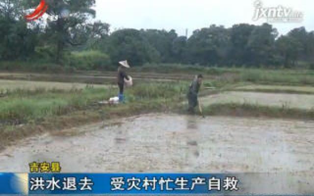 吉安县：洪水退去 受灾村忙生产自救