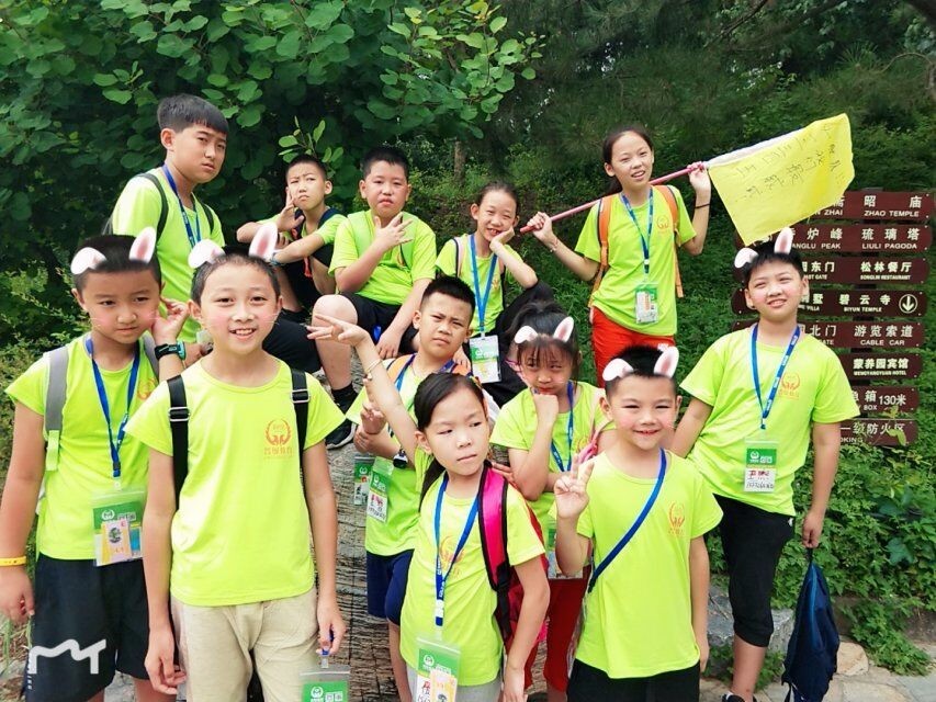 小学生取消作业,家长建群让孩子做别人的作业