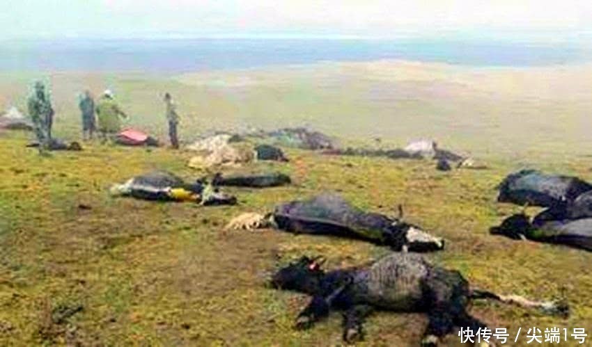 昆仑山为何常年重兵把守?退伍老兵揭秘昆仑山