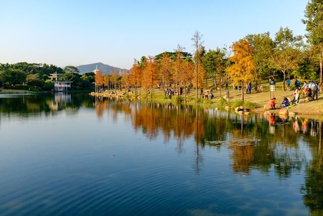 小的微单、无反能代替单反吗?