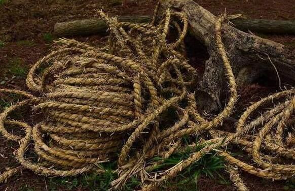 古代皇室去厕所怎么擦屁股?法国最恶心,英国最