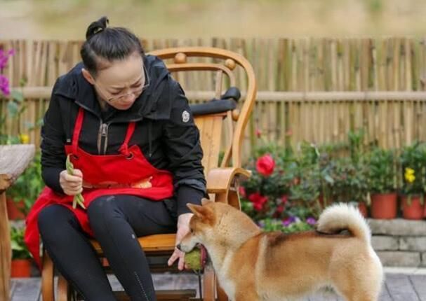 宋丹丹对待彭昱畅刘宪华差距好大,何炅出面赵